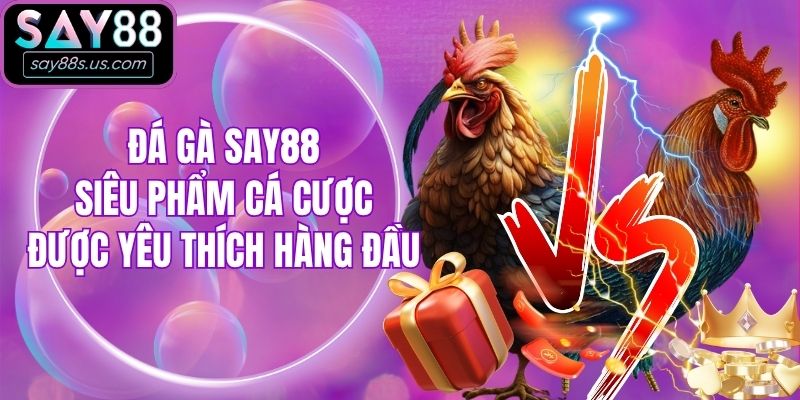 Đá Gà Say88 - Siêu Phẩm Cá Cược Được Yêu Thích Hàng Đầu Đá Gà Say88 - Siêu Phẩm Cá Cược Được Yêu Thích Hàng Đầu