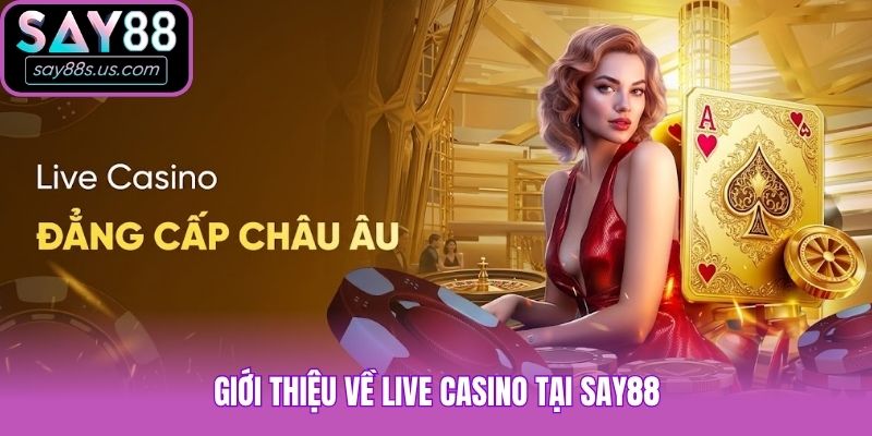 Livecasino Say88 - Thiên Đường Giải Trí Xanh Chín 2026 Giới thiệu về Live Casino tại Say88