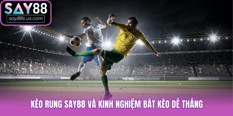 Bật Mí Cách Chơi Kèo Rung Say88 Bách Chiến Bách Thắng Kèo rung Say88 và kinh nghiệm bắt kèo dễ thắng